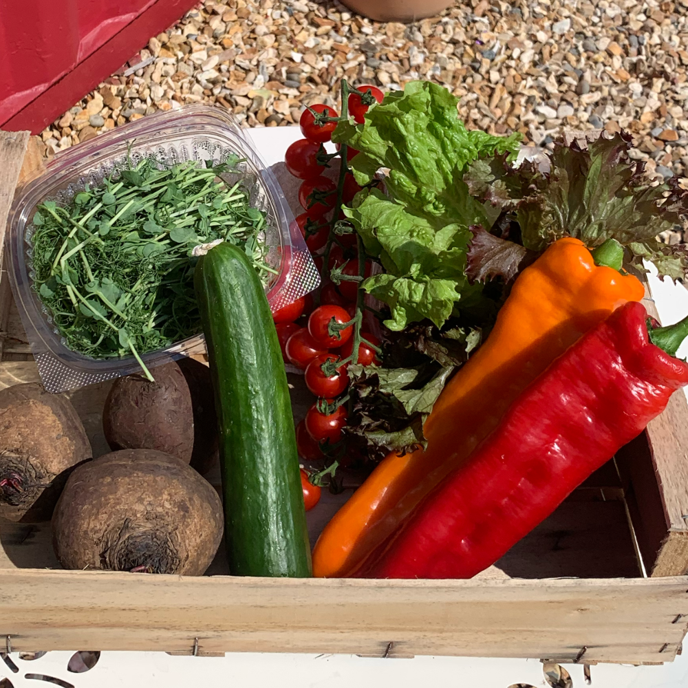 Seasonal Salad Box