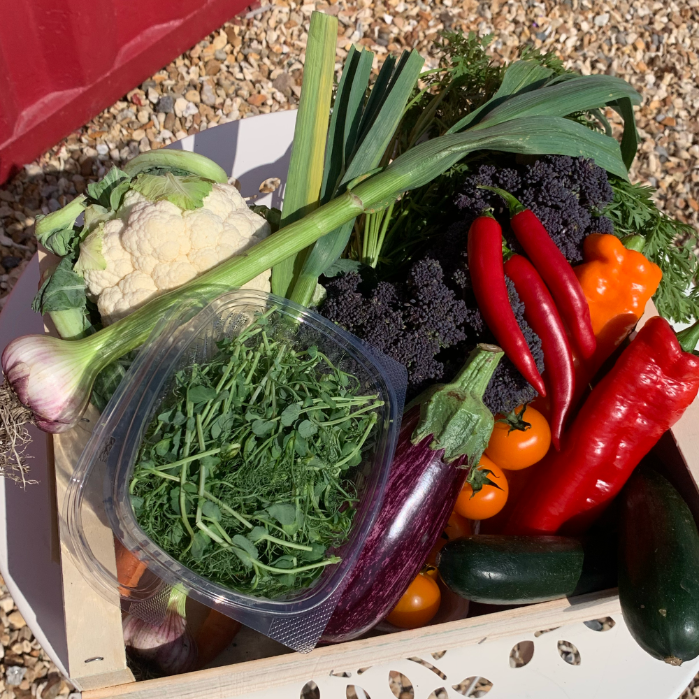 Seasonal Veg Box - Large