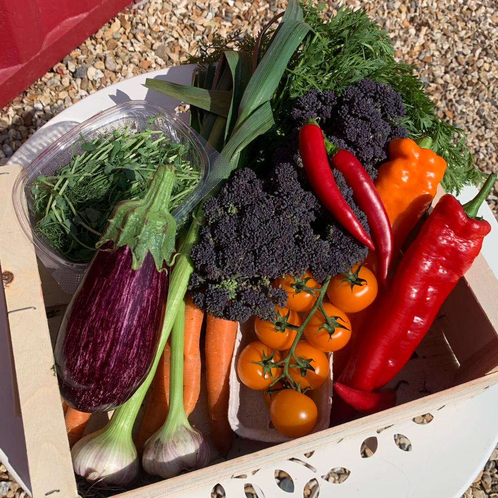 Seasonal Veg Box - Medium