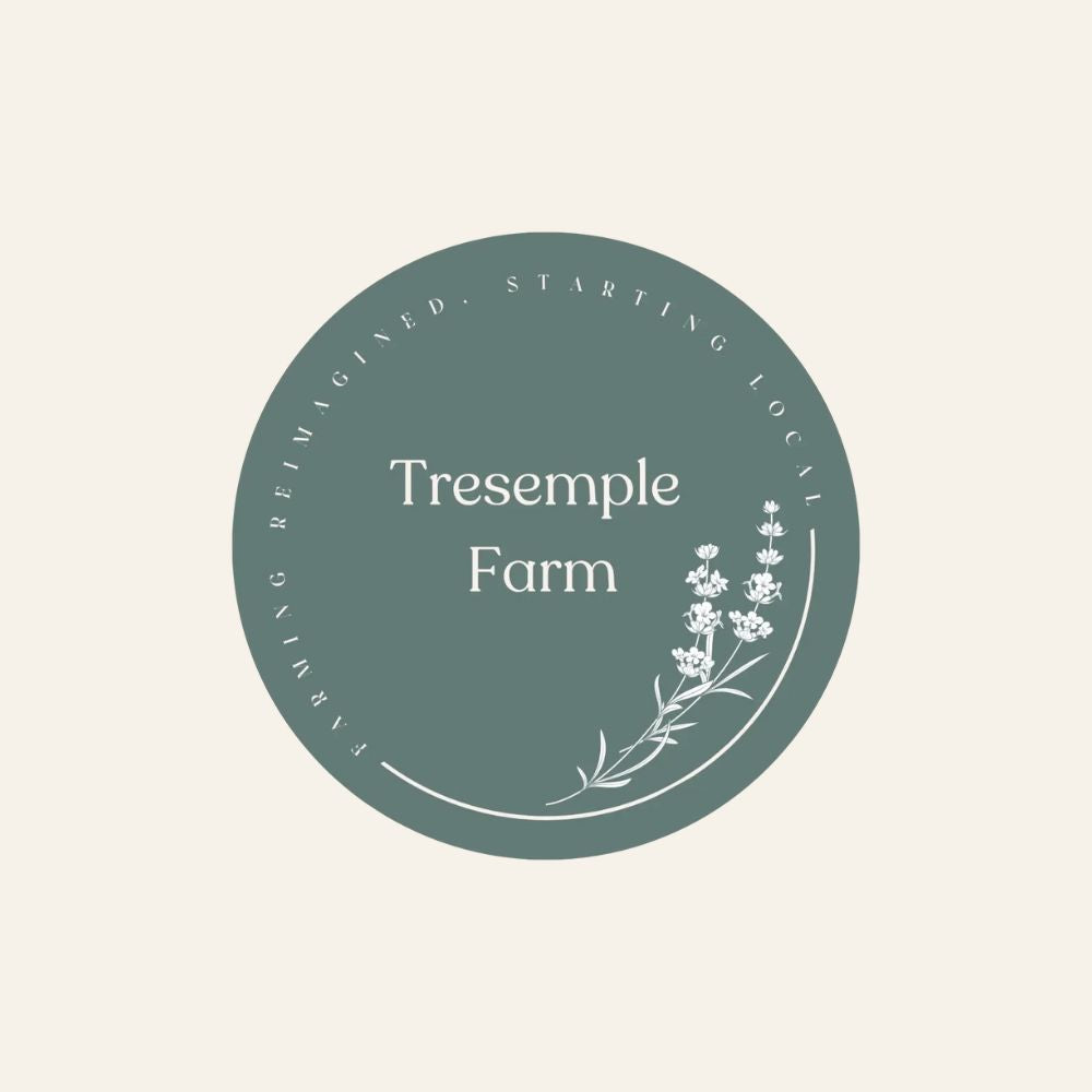 Tresemple Farm Organic Rump Steak