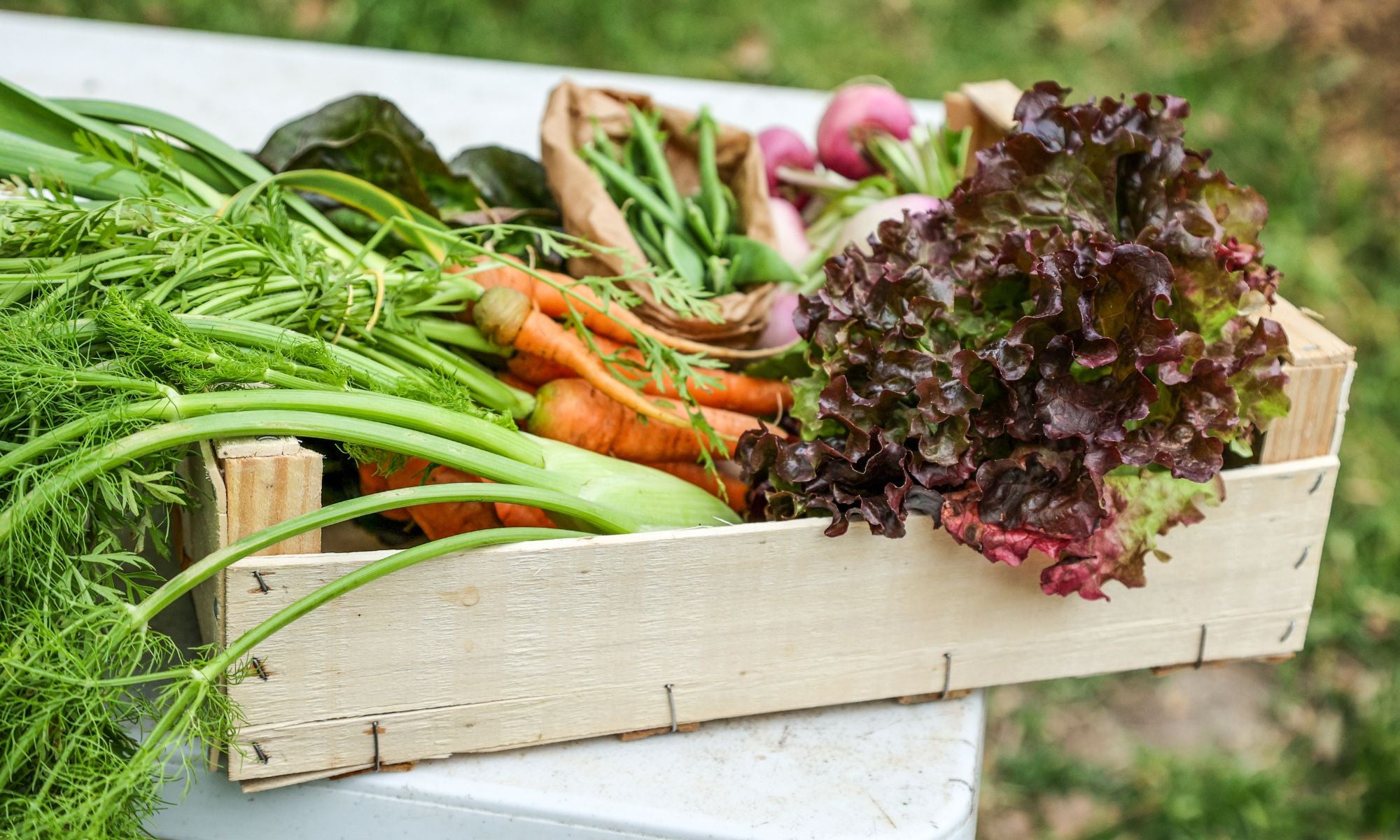 How to Make the Most of Your Veg Box