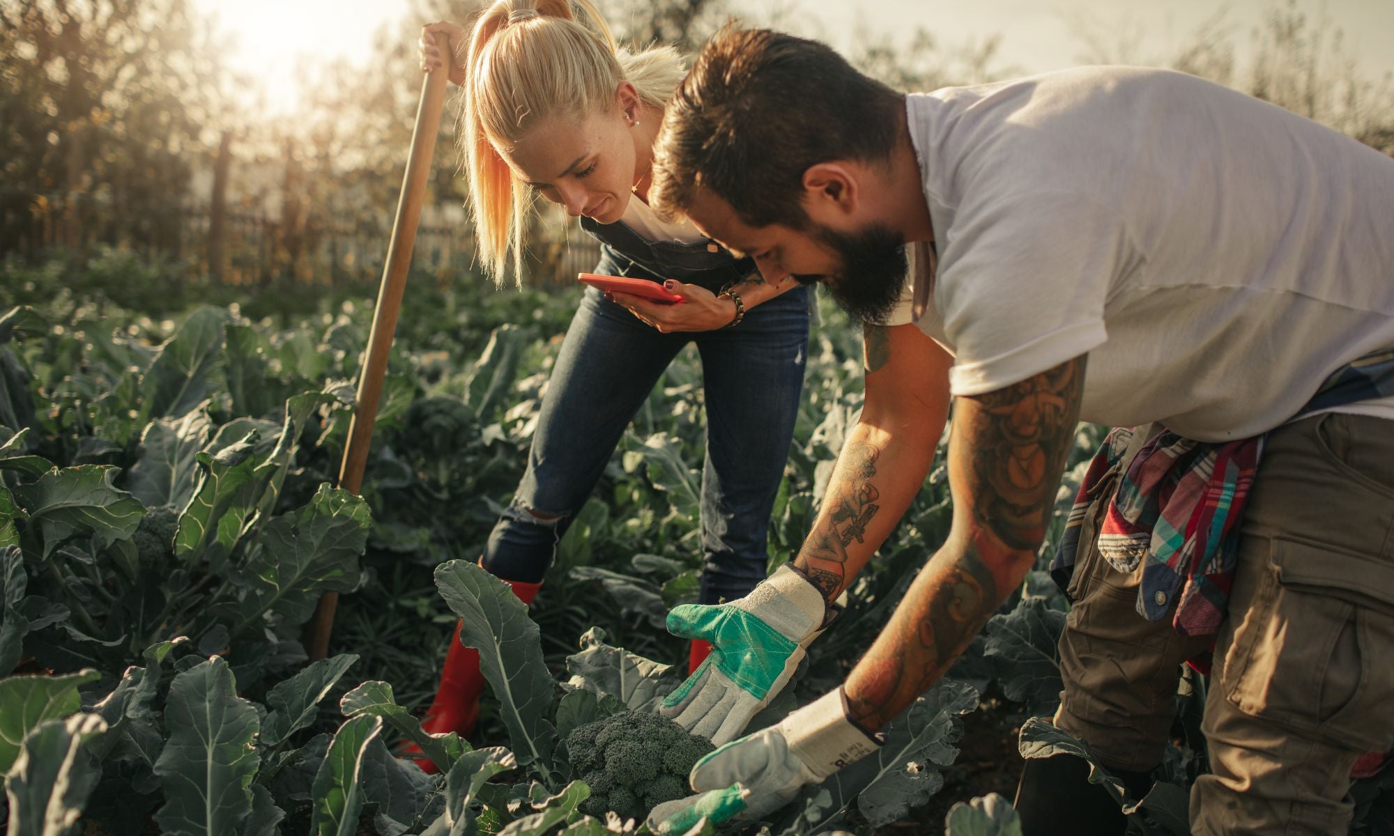 A Day in the Life on the Farm
