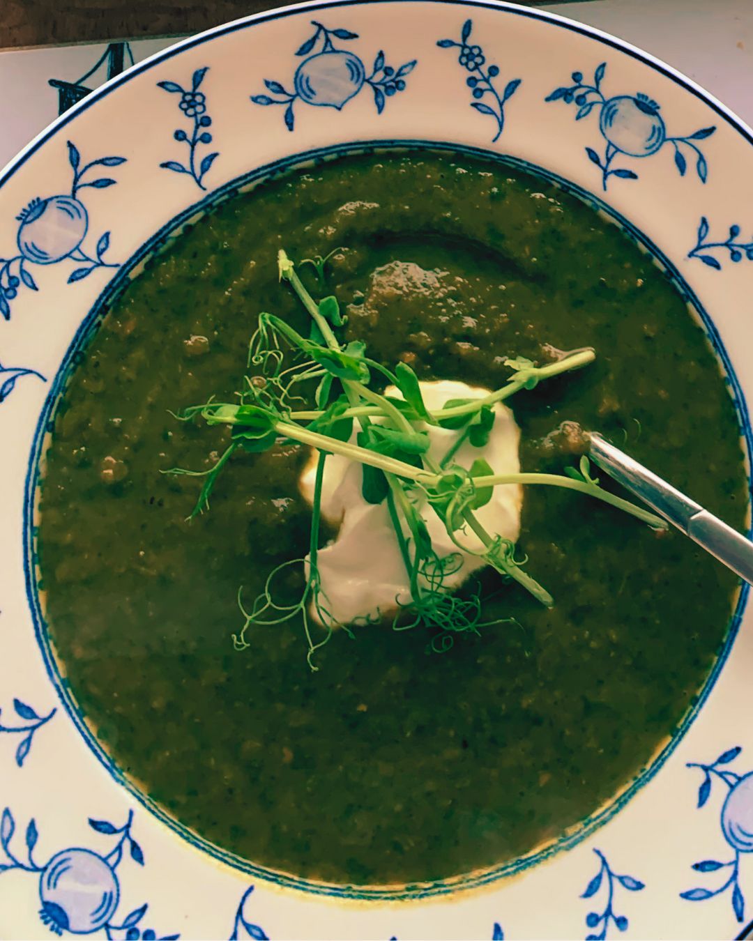Garlicky Chicken Broth & Coriander Soup