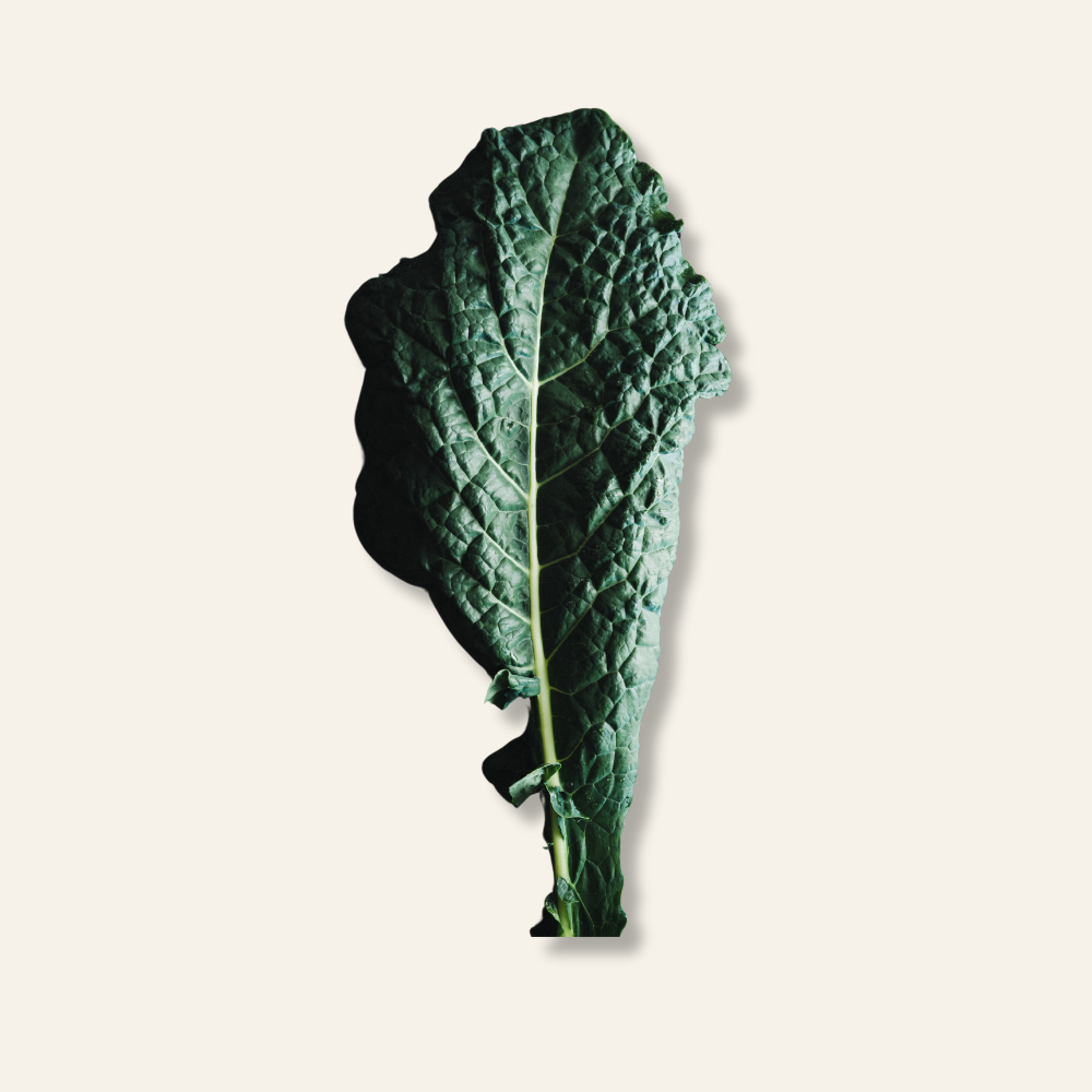 Cavolo Nero