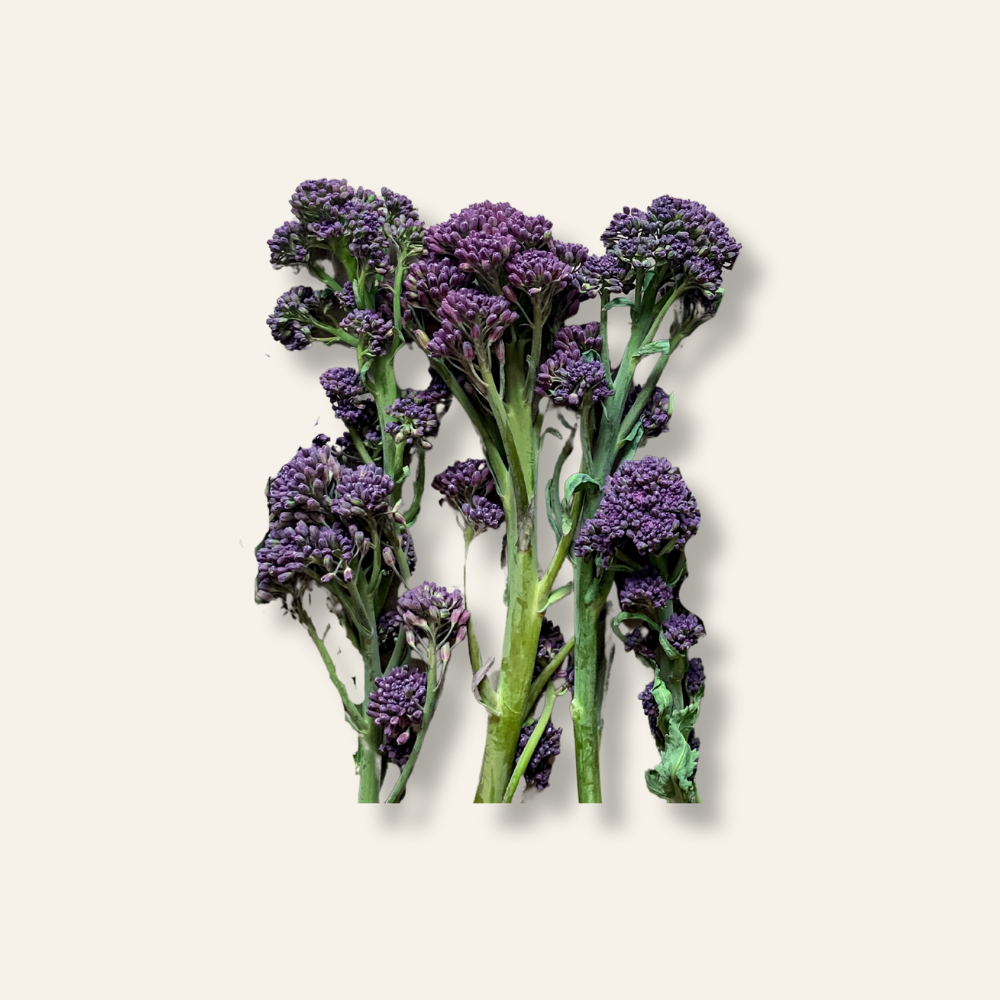 Purple Sprouting Broccoli