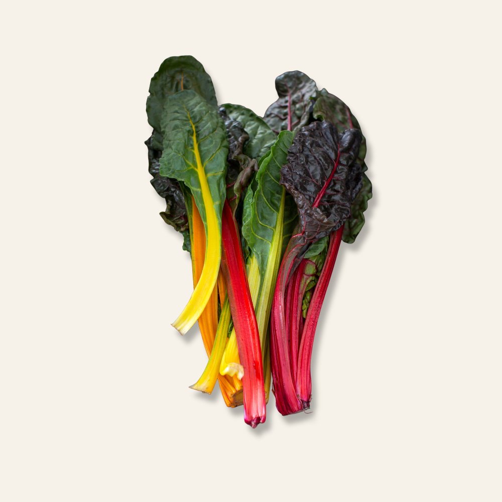 Rainbow Chard