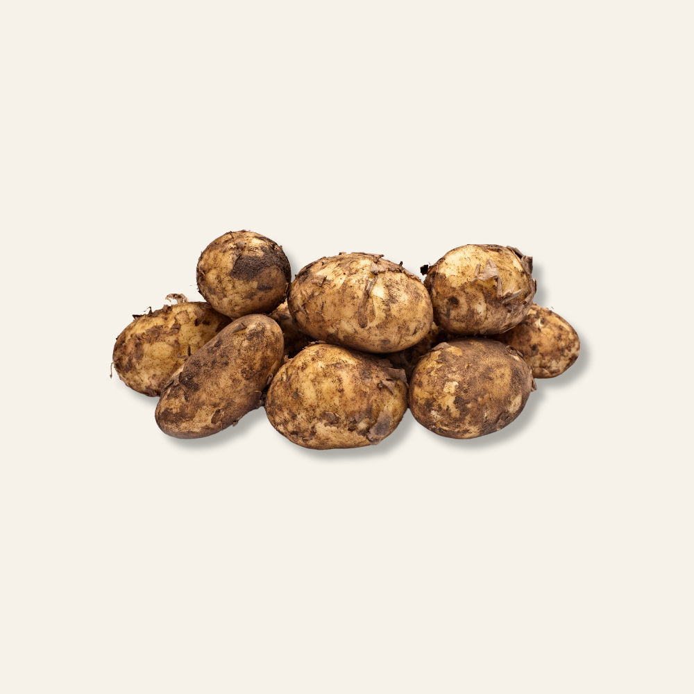 Cornish First Early Potatoes