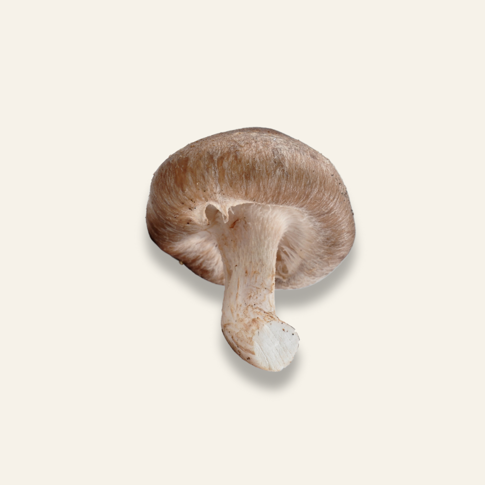 Shiitake Mushrooms 150g