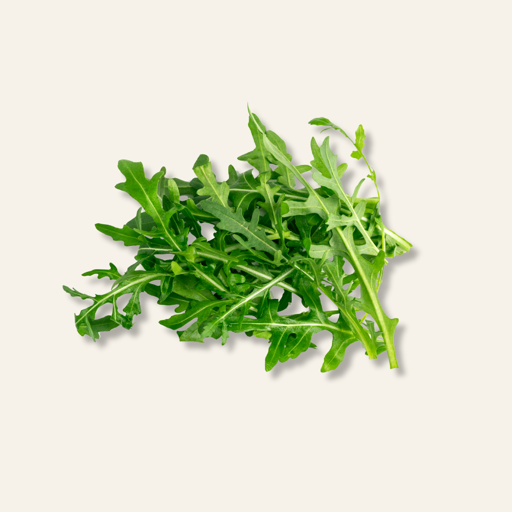 Wild Rocket