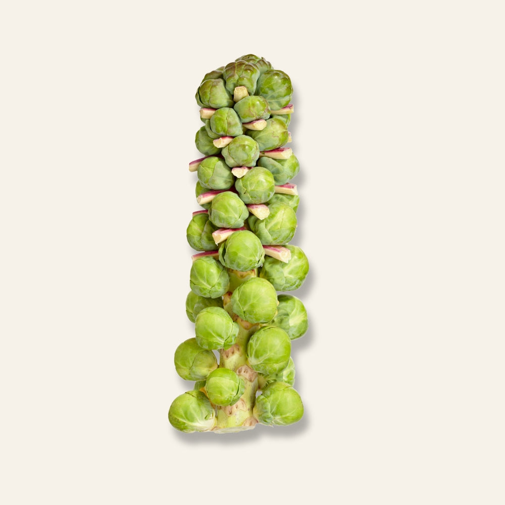 Brussels Sprouts Stalk