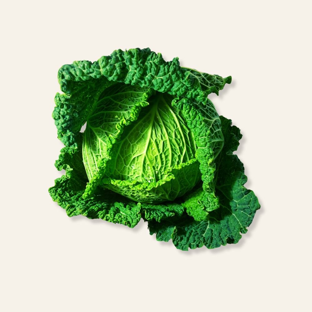 Savoy Cabbage – POM