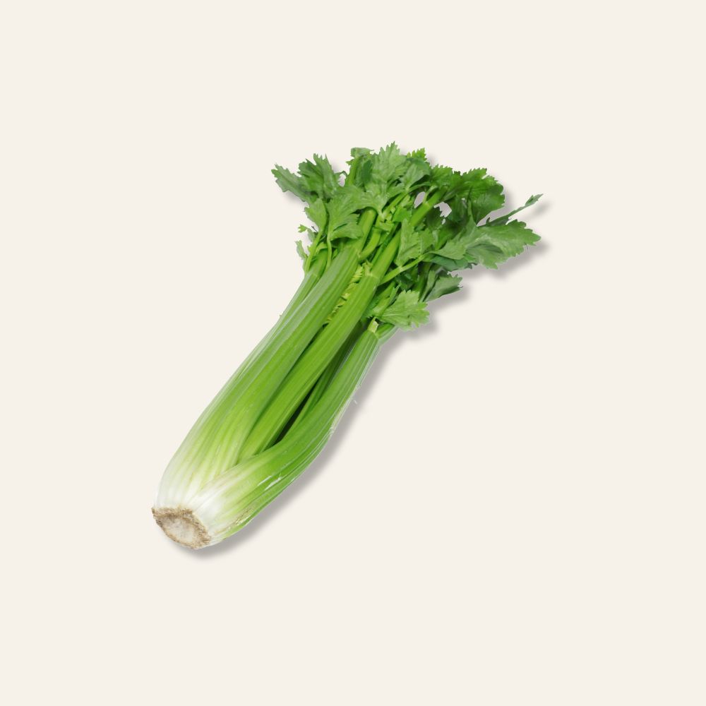 Celery