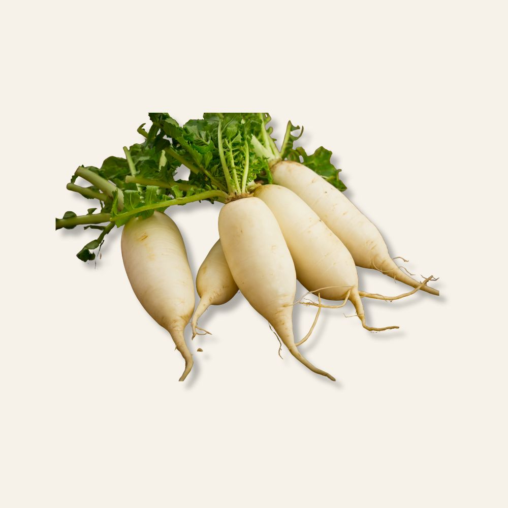 Winter Radishes