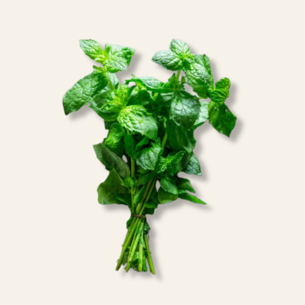Lime Basil