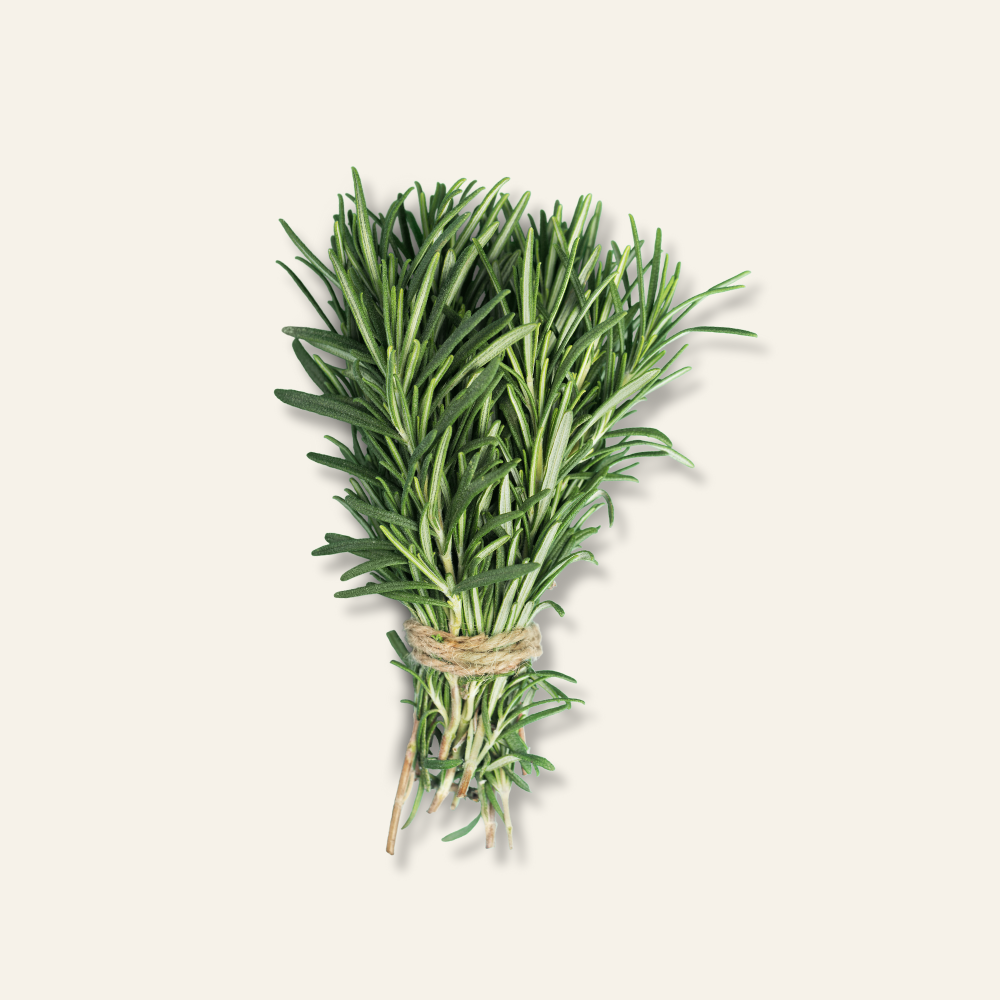 Rosemary