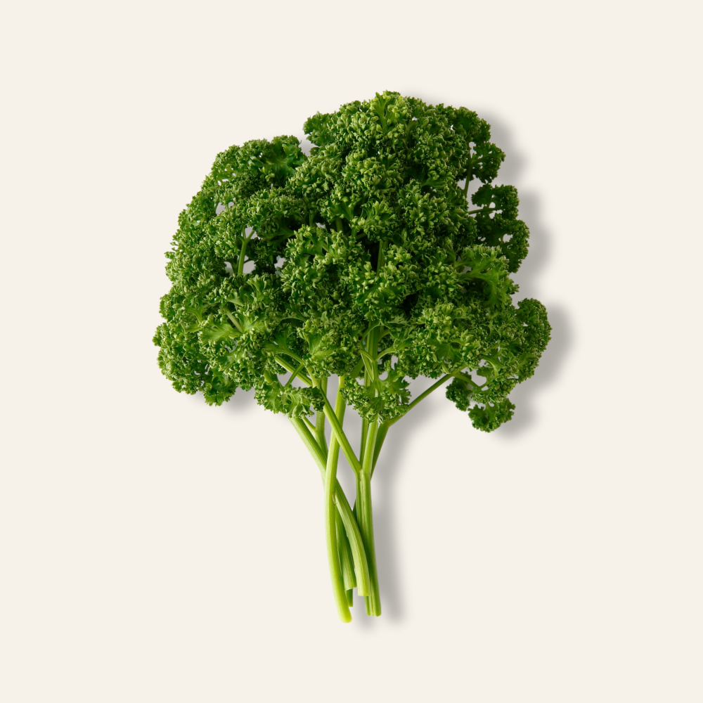 Curly Parsley