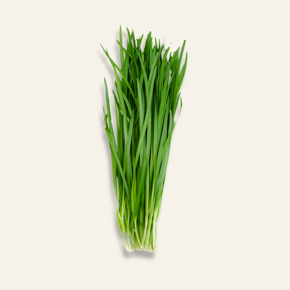 Chives
