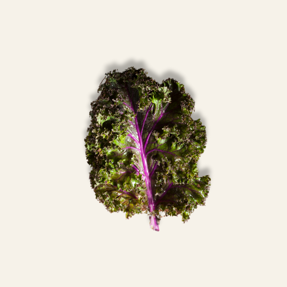 Red Russian Kale