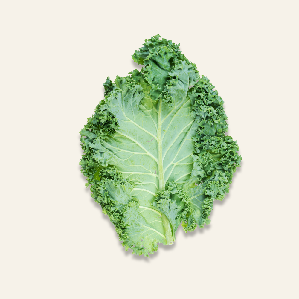 Curly Kale