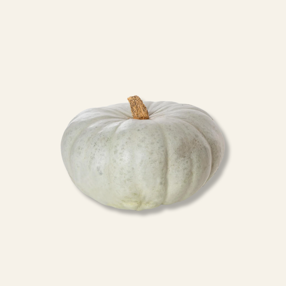 Crown Prince Squash