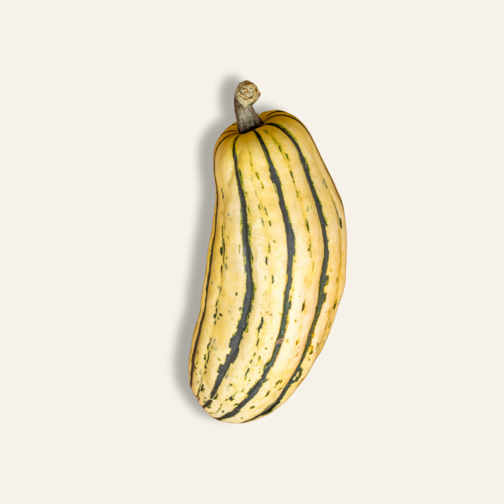 Delicata Squash