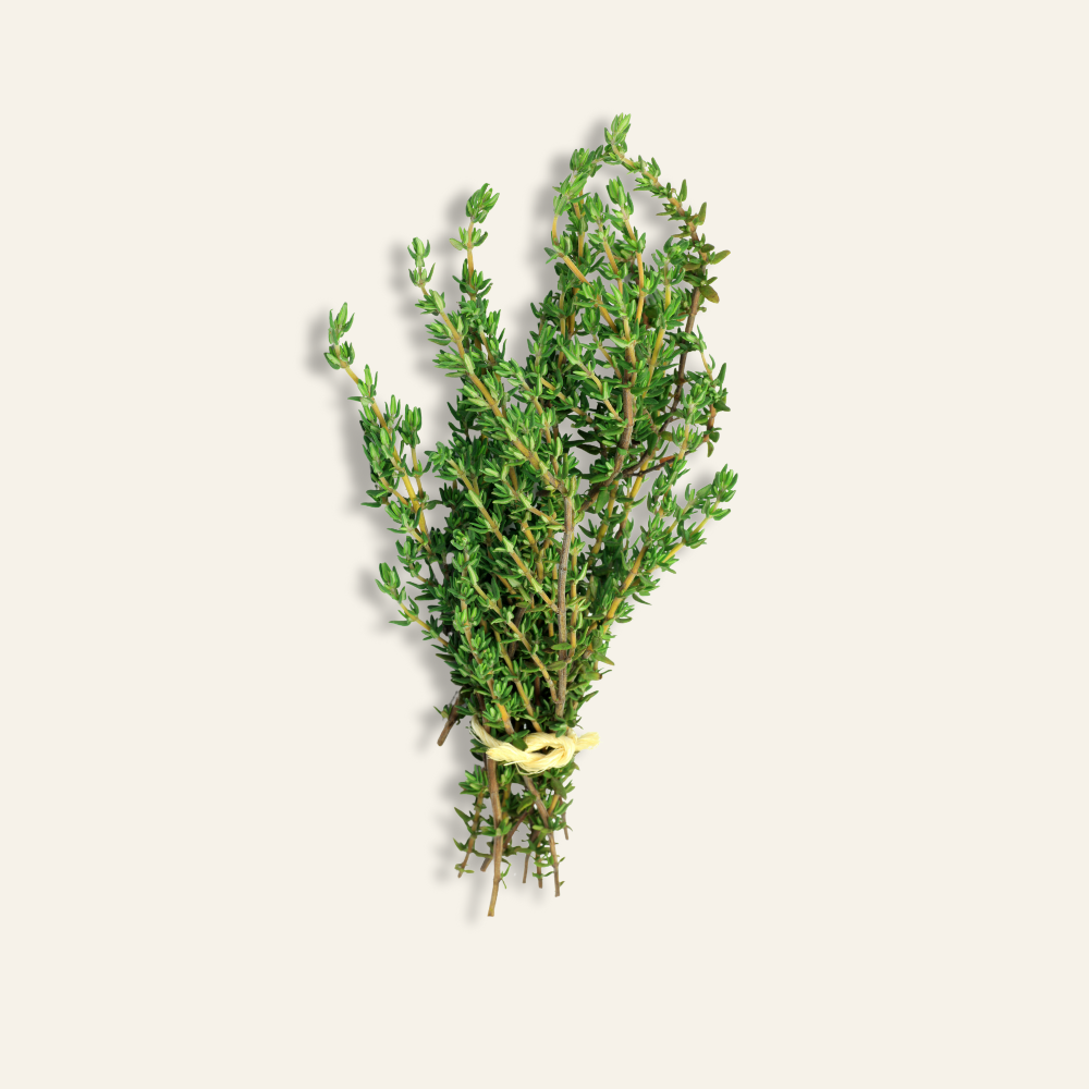 Thyme