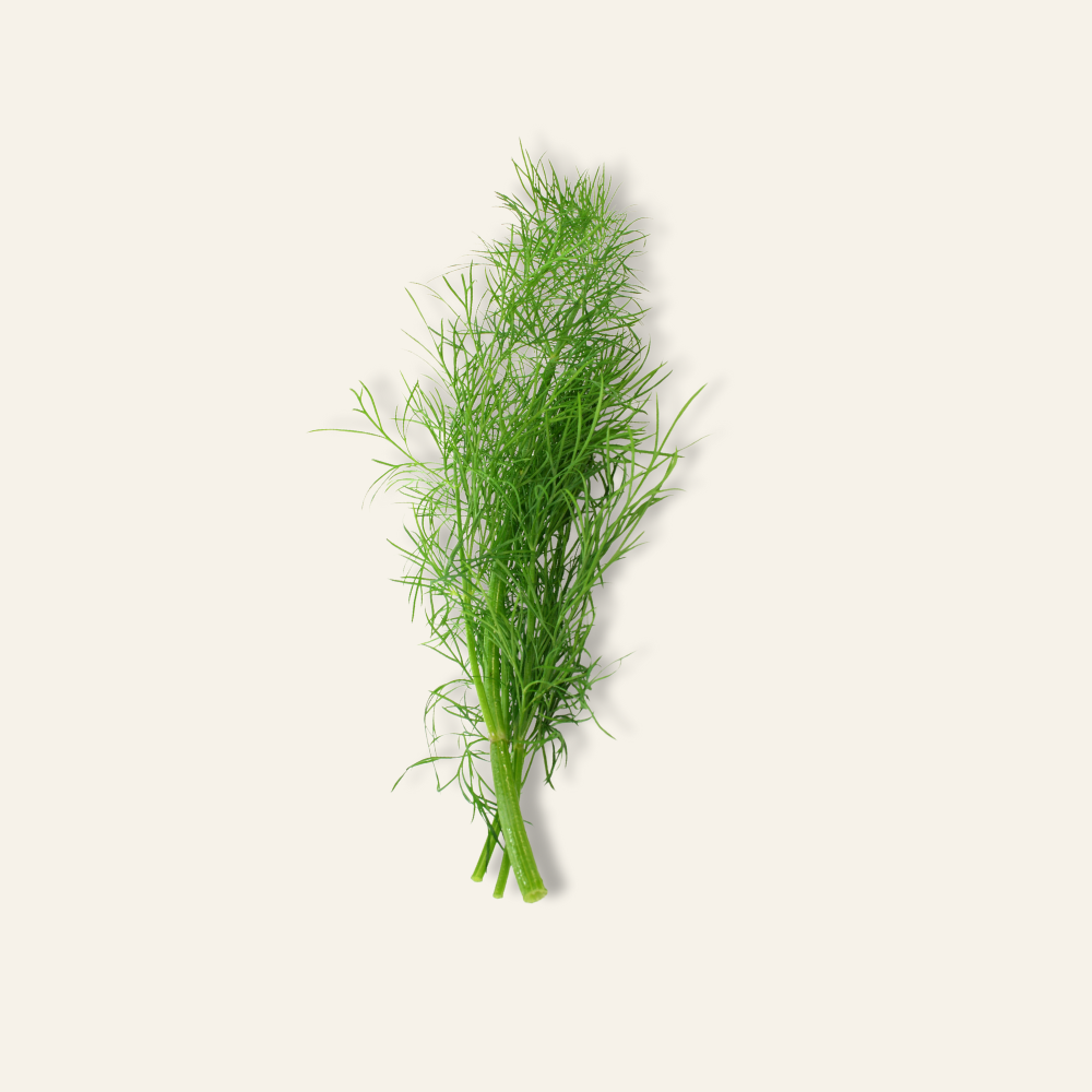 Dill