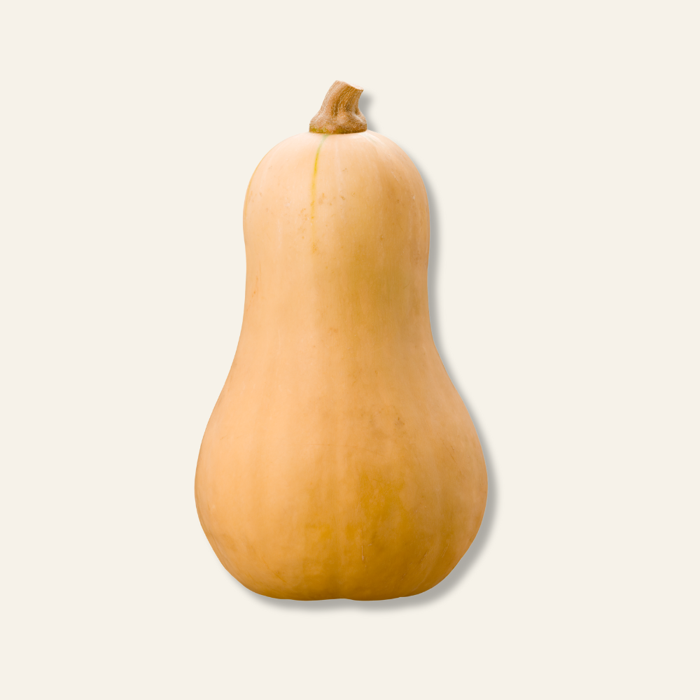 Butternut Squash