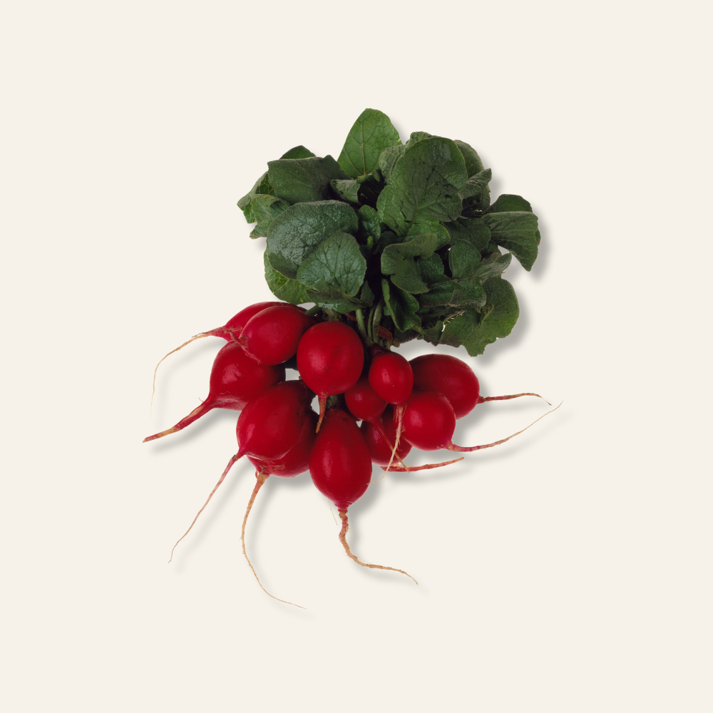 Radishes
