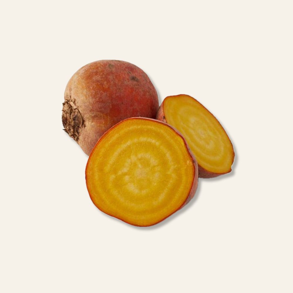 Golden Beetroot