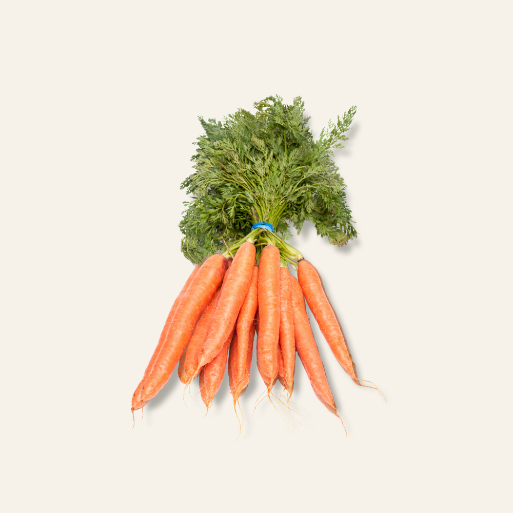 Bunched Carrots