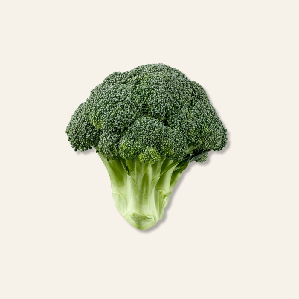 Broccoli