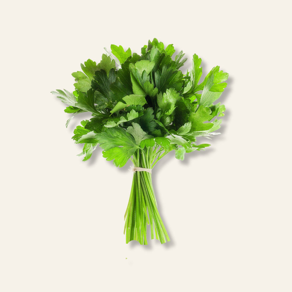 Flat Leaf Parsley