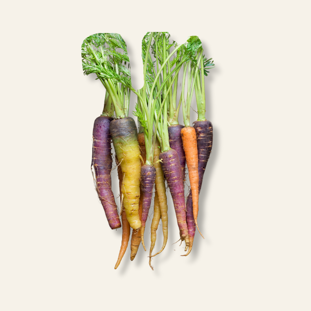 Rainbow Carrots