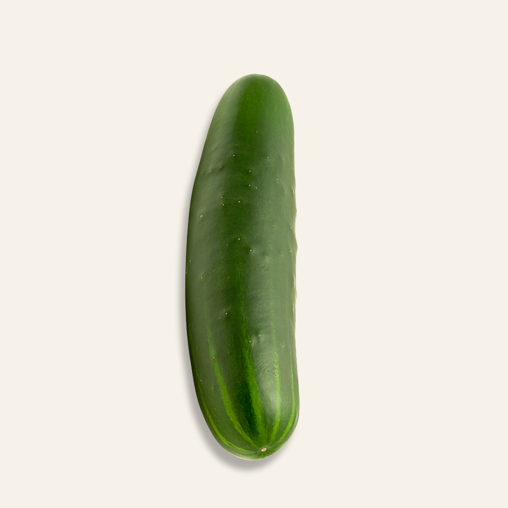 Cucumber