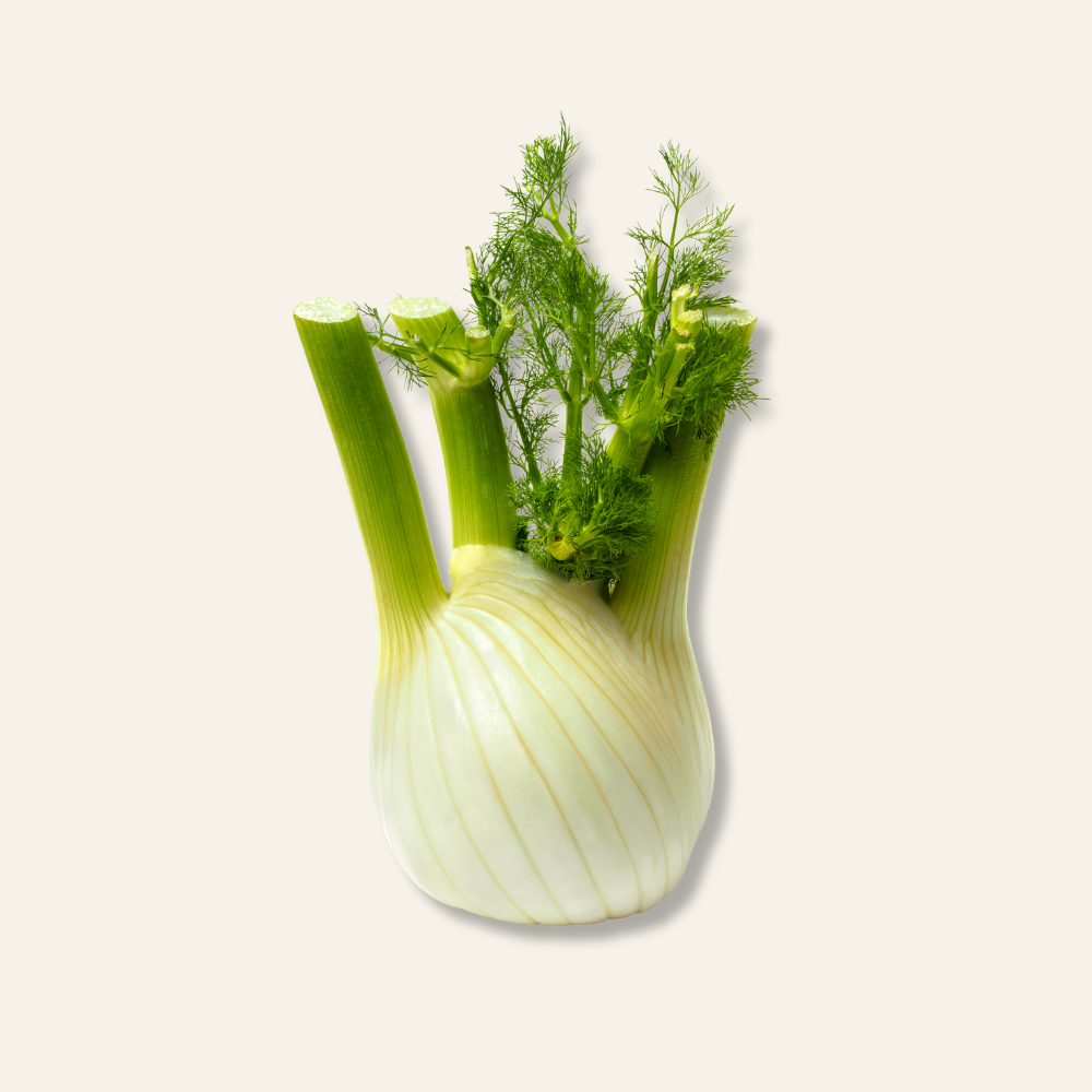 Fennel
