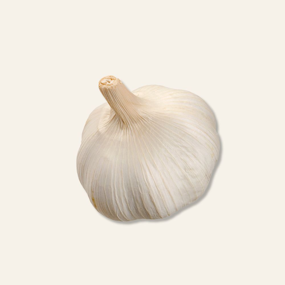 Garlic 2 pack