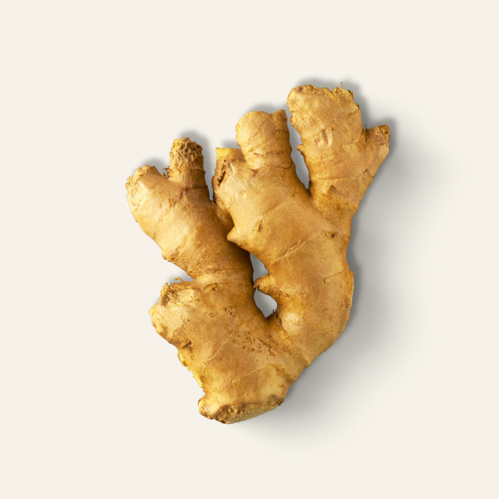 Ginger