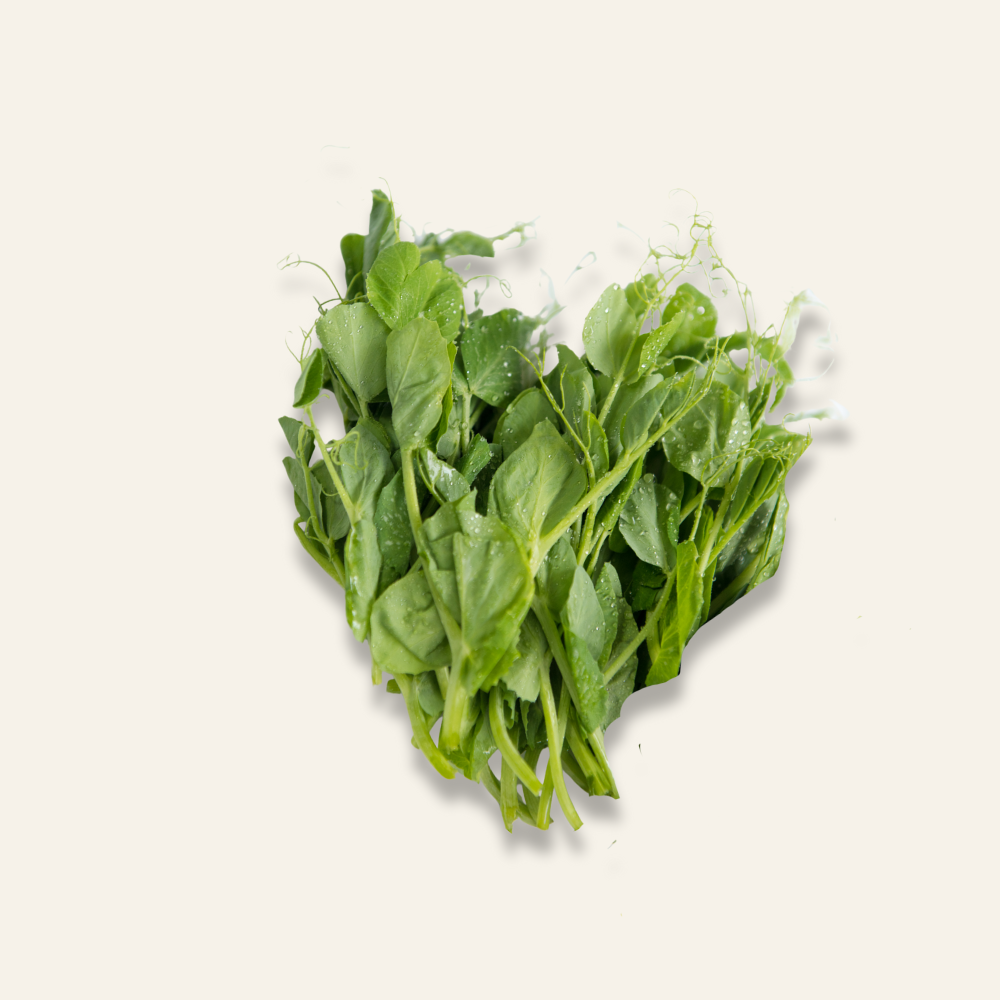 Pea Shoots